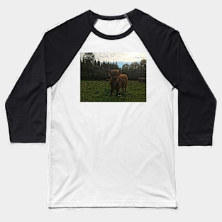 Scottish Highland Cattle Calf 2029 Baseball T-Shirt